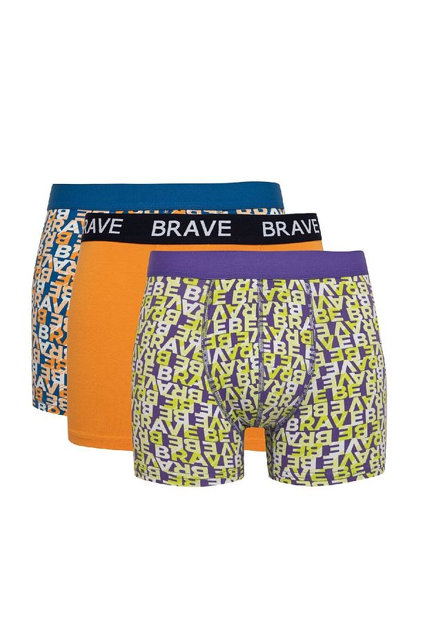Regular Fit 3lü Boxer B7968ax24sp - 1