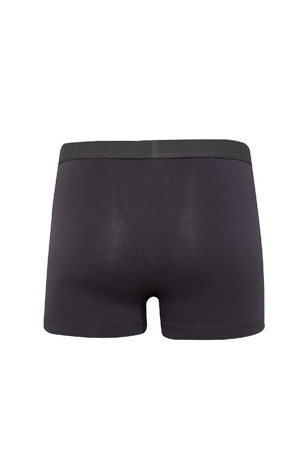 Regular Fit 3'lü Boxer E2914ax25sp - 3