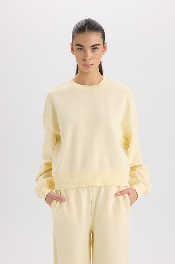 Boxy Fit Bisiklet Yaka Basic Düz Kalın Sweatshirt E4732AX24CW - 4