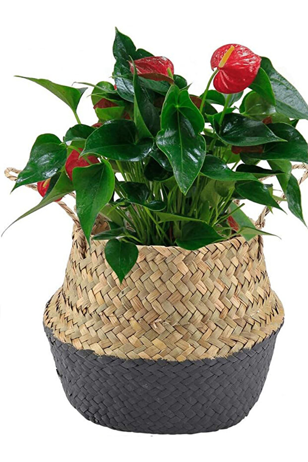 Foldable Wicker Basket Flower Pot Natural-Anthracite