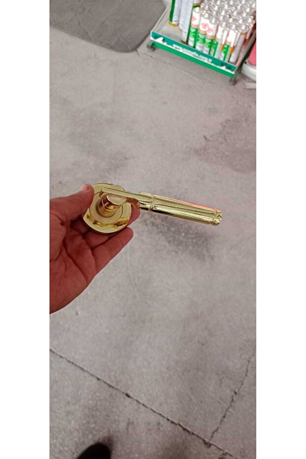 Çelik Kapı kolu Gold (Sağ Yön) - 4