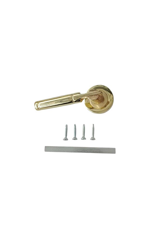 Çelik Kapı kolu Gold (Sol Yön) - 1