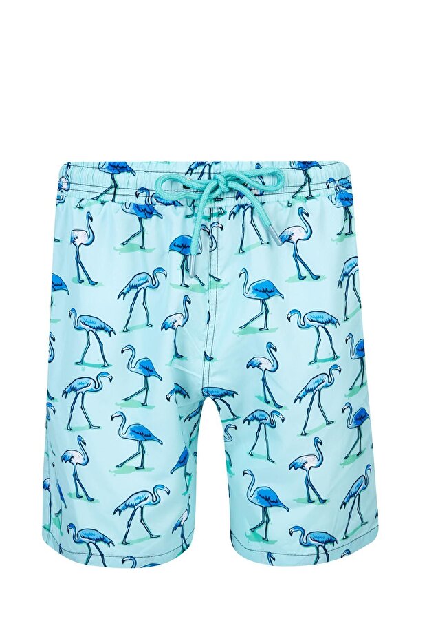 Men's Sea Pool Shorts Patterned Percy S250 Mint