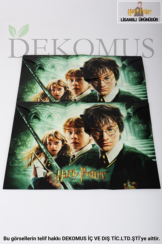 New Season Licensed Harry Potter 2-Piece File with Dekomus