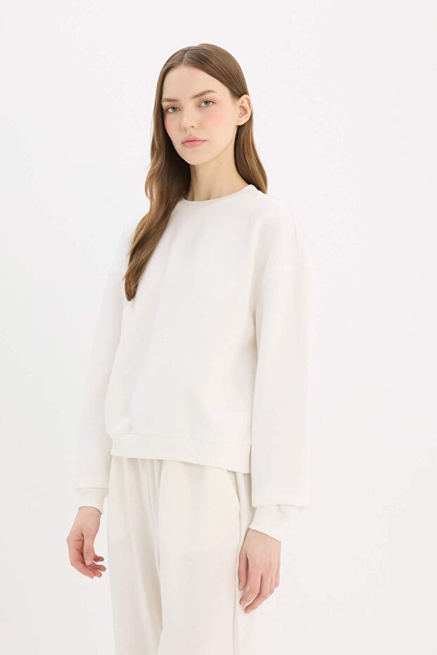 Regular Fit Bisiklet Yaka Kalın Basic Düz Sweatshirt D6645ax25sp - 3