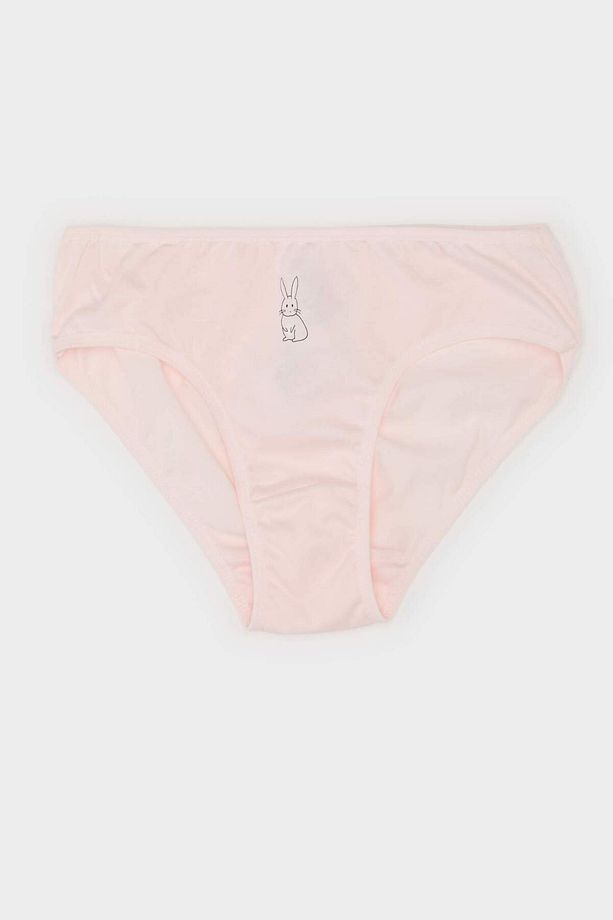 Kız Çocuk Desenli 3'lü Slip Külot E7068a825sp - 2