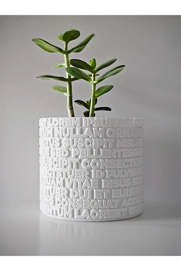 Lorem Ipsum Saksı - 1