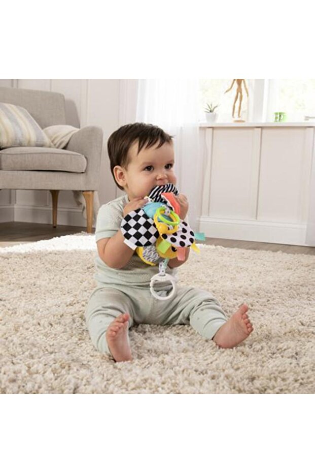 Lamaze-Albinuta Buzzy - 4