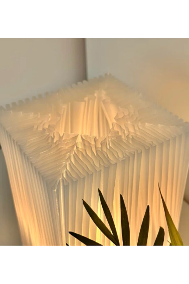 Veila Gece ,Masa Lambası - 2