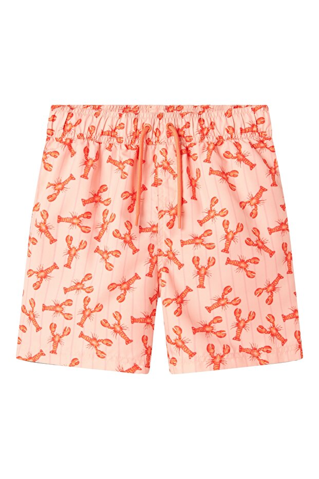 Nkmzaddı Swim Shorts Box