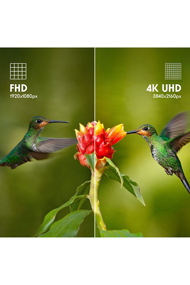 55" 139 Ekran Uydu Alıcılı Ultra HD 4K Google Smart LED TV 55UG5C14 - 5