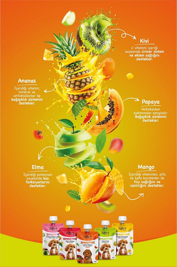 Plus Smoothie Biftekli ve Mangolu Sıvı Köpek Ödülü 85gr - 4