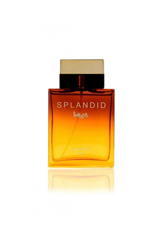 Splendid Oud Perfume 100ml - 1
