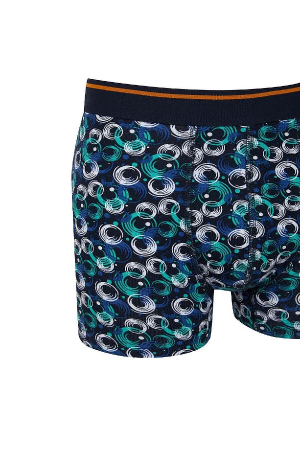 Regular Fit Baskılı 3'lü Boxer E0048ax24cw - 4