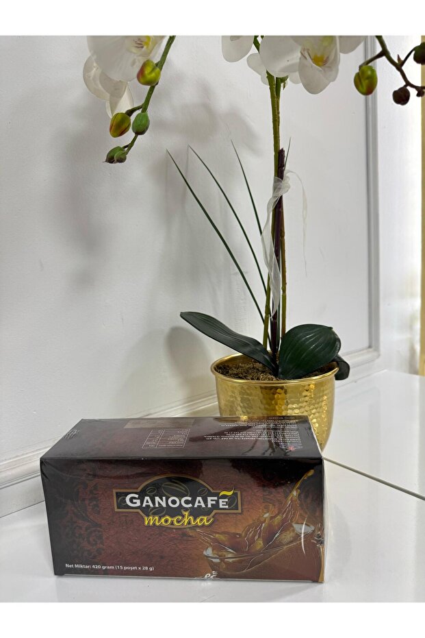 GANOCAFE CLASSIC - 2