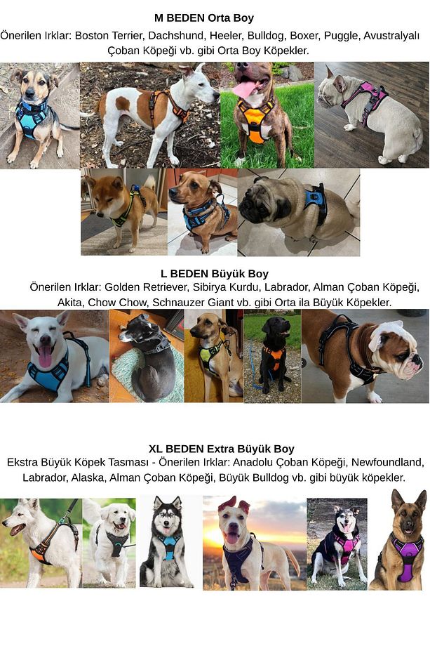 Köpek Tasması ve Gezdirme Halatı Reflektörlü Orta ve Büyük Irk İçin Yürüyüş ve Eğitim Tasma Seti - 6
