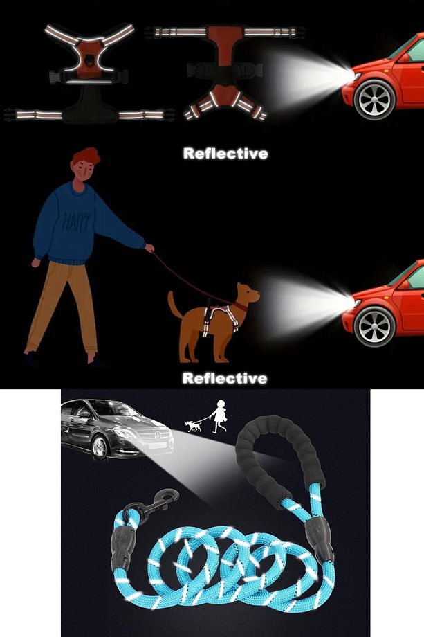Köpek Tasması ve Gezdirme Halatı Reflektörlü Orta ve Büyük Irk İçin Yürüyüş ve Eğitim Tasma Seti - 8