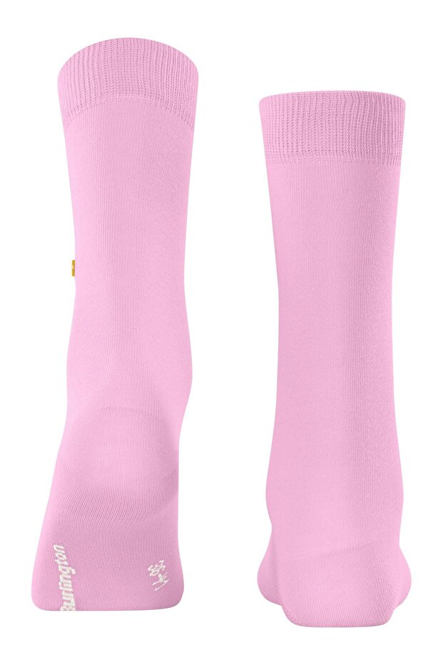 Kadın Çorapbr22005 - 5