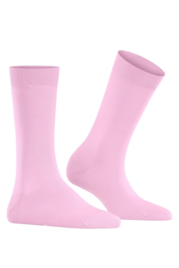 Kadın Çorapbr22005 - 3