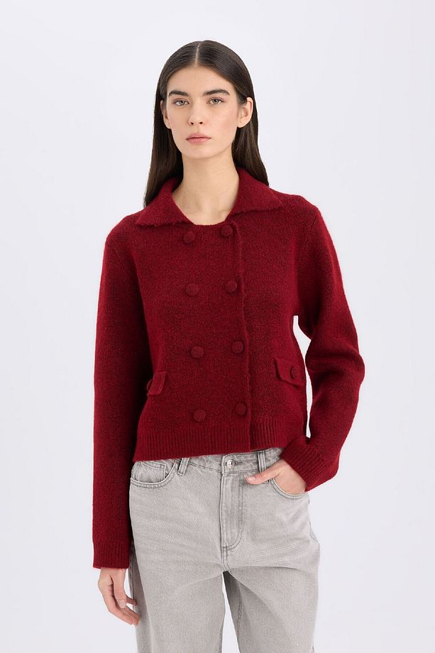 Regular Fit Polo Yaka Basic Düz Düğmeli Triko Hırka E2289AX24WN - 4
