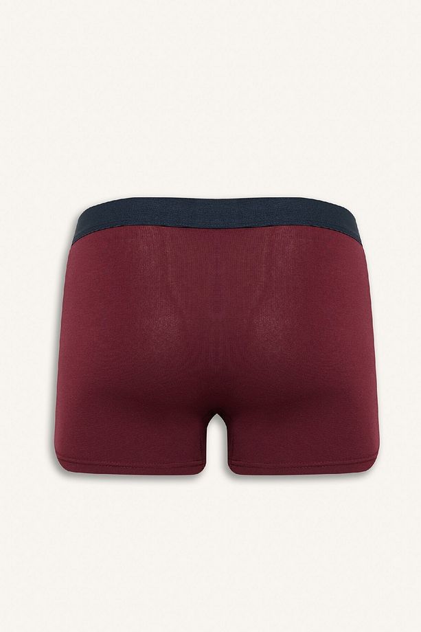 Regular Fit 3'lü Boxer E2917ax25sp - 3