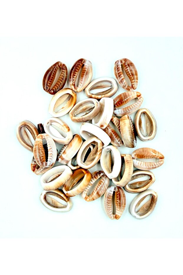50Pcs Coffee Plastic Sea Shell Hole Beads Jewelry Making Supplies