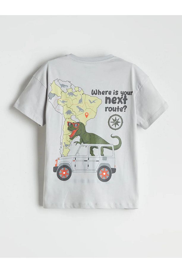 LCW Kids Gri Bisiklet Yaka Dinozor Baskılı Erkek Çocuk Şortlu Pijama Takımı - 3