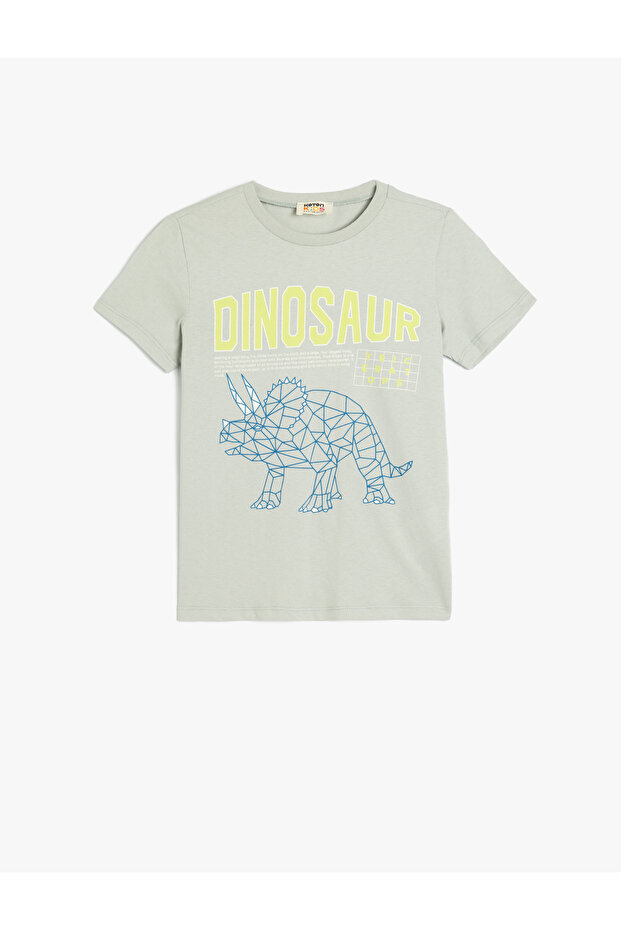 Dinosaur Printed Cotton Gray Boy's T-Shirt 5Skb10153Tk