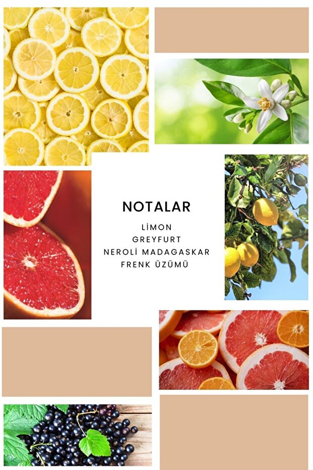 K319 Pixie Kadın Parfüm 100ml Edp - 4