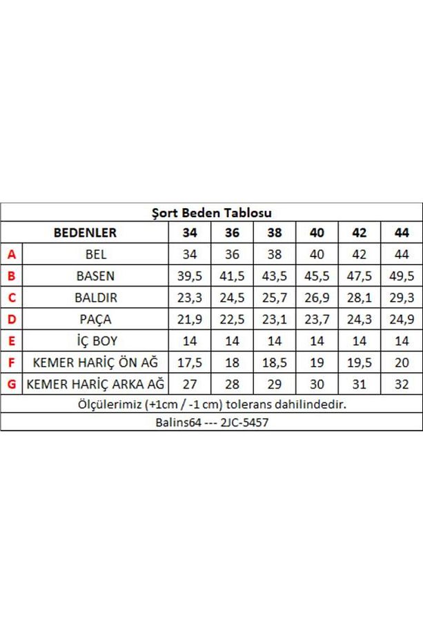 Kadın Yıpratmalı Kot Şort - 3