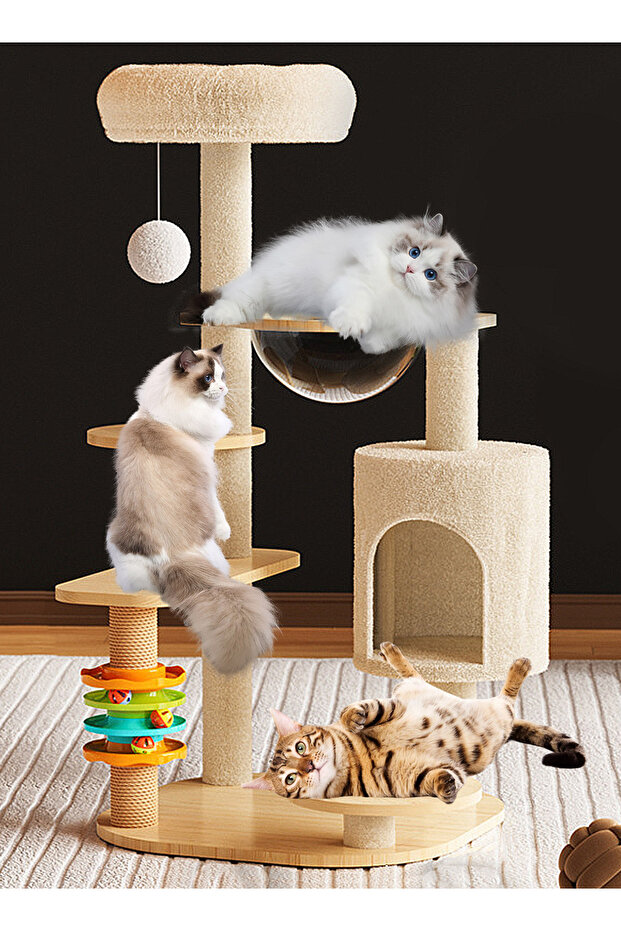 إطار تسلق القطط، عش القطط، لوح خدش القطط، شجرة القطط - 5