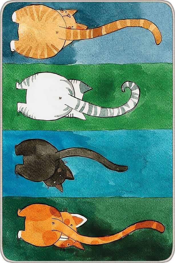 Çok Renkli Kedi Desenli Kapı Önü Paspası KP03 - 2