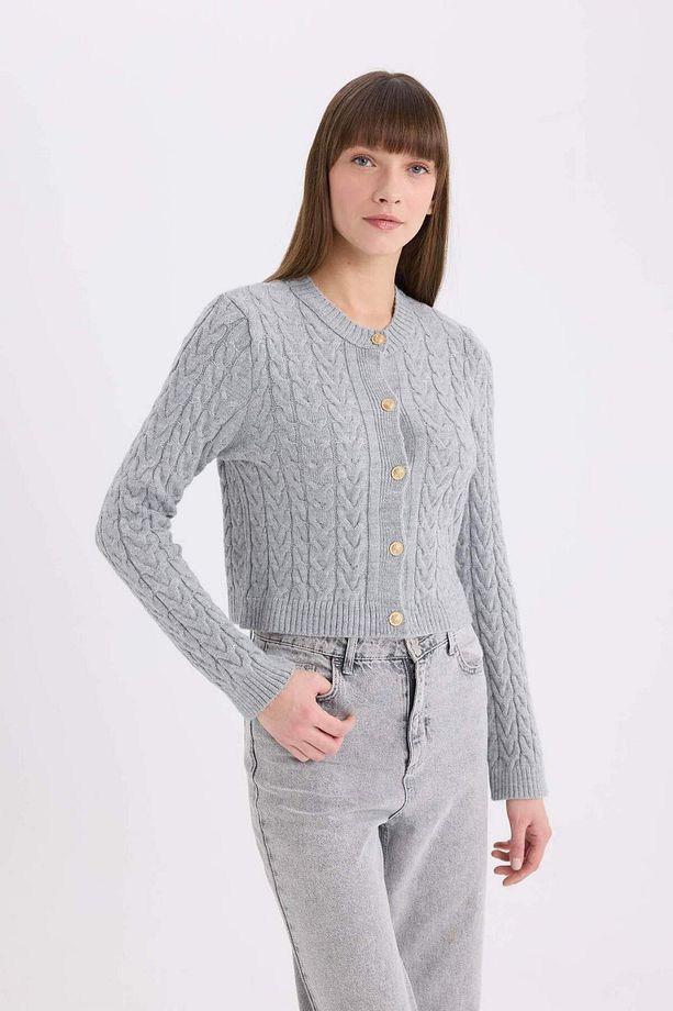 Regular Fit Bisiklet Yaka Saç Örgülü Düğmeli Hırka C9044AX25SP - 3