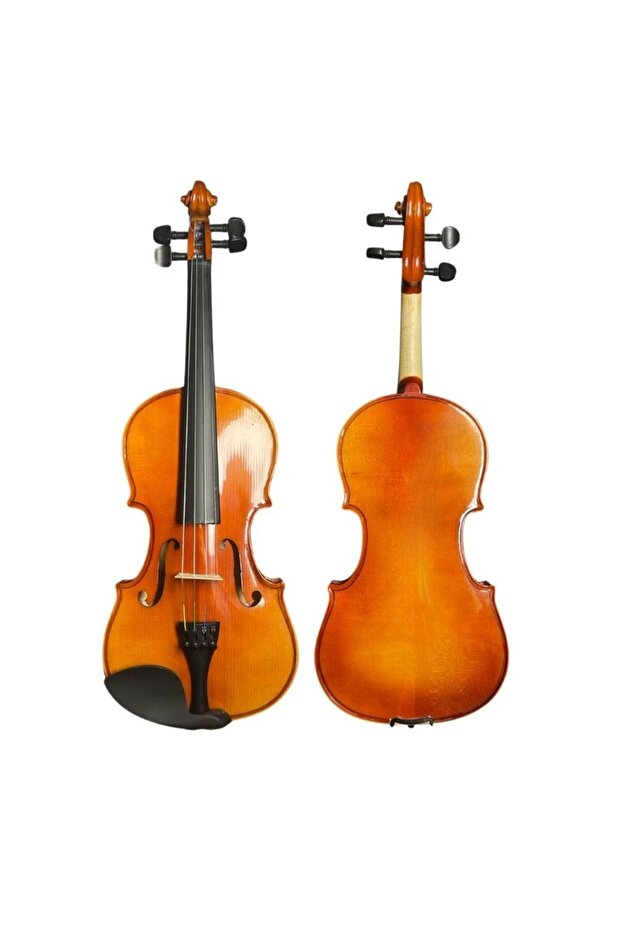 VL-704 4/4 Keman - 1