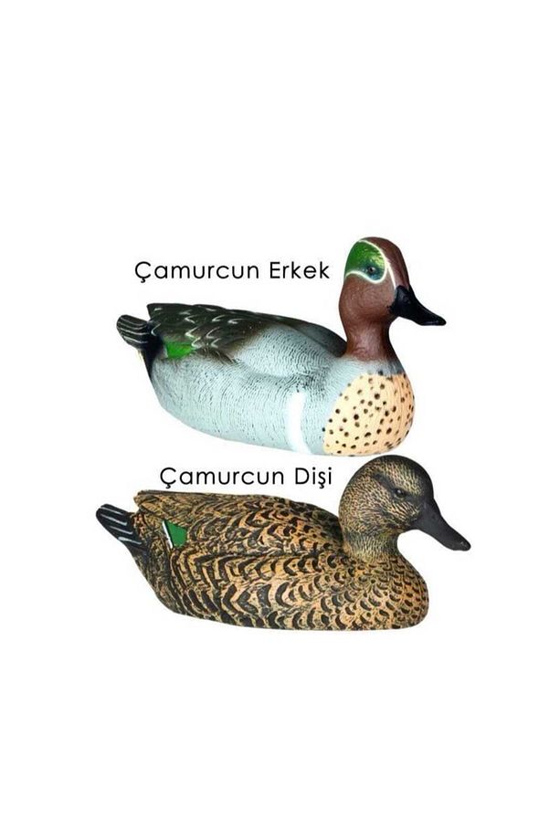 Dr. Duck Çamurcun (BEHRİ) Ördek Mühresi 5 Erkek 3 Dişi ( 8 Adet ) - 1