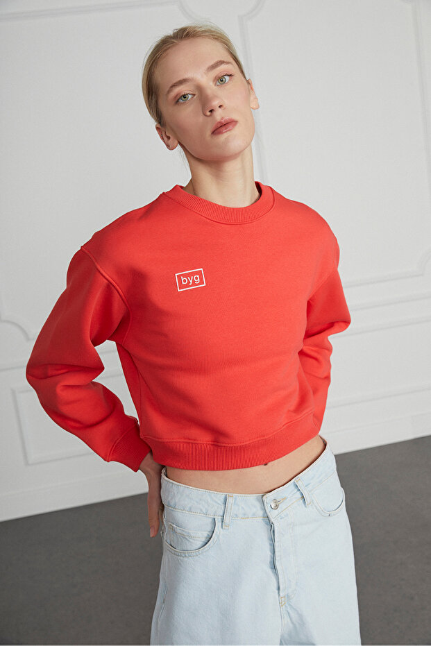 Basic Crop Sweatshirt - 3