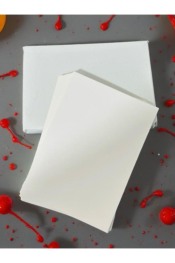 Orbak Kağıtçılık Amerikan Bristol Karton A4 210 gr - 100 Adet (1,31KG) - 3