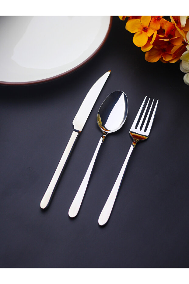 Vizyon 18 Piece 6 Person Stainless Steel Cutlery Set with Fork, Spoon, Knife and Dessert Set