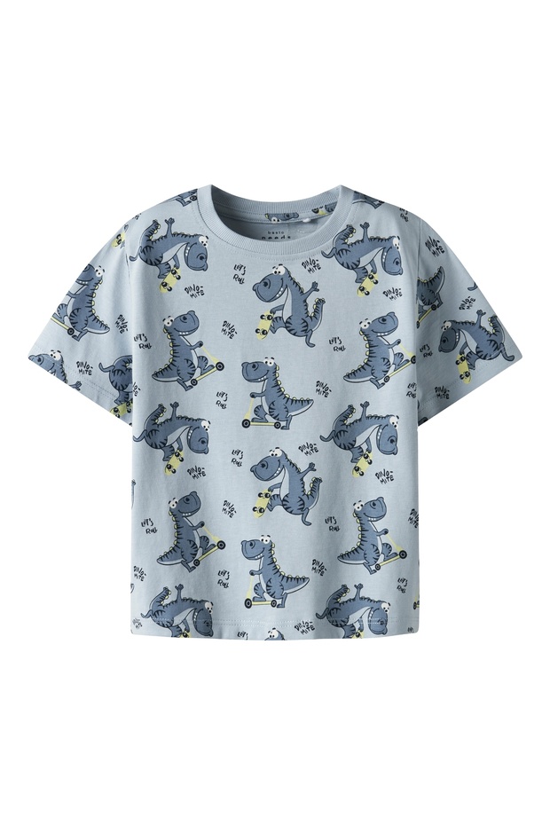 Nmmvalther ss nreg top