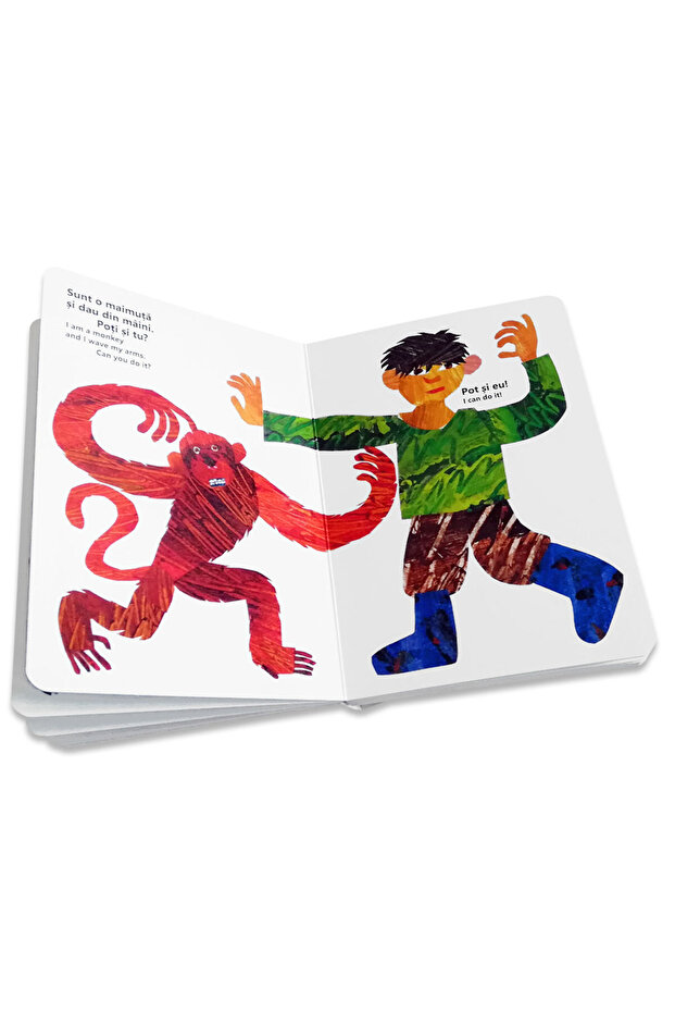 Carle E – From head to toe - 4