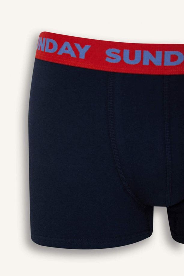 Regular Fit 3'lü Boxer D9873ax25sp - 6