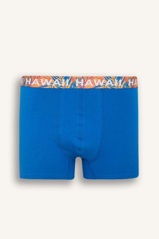 Regular Fit 3'lü Boxer D9874ax25sp - 5