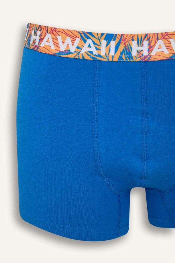 Regular Fit 3'lü Boxer D9874ax25sp - 6