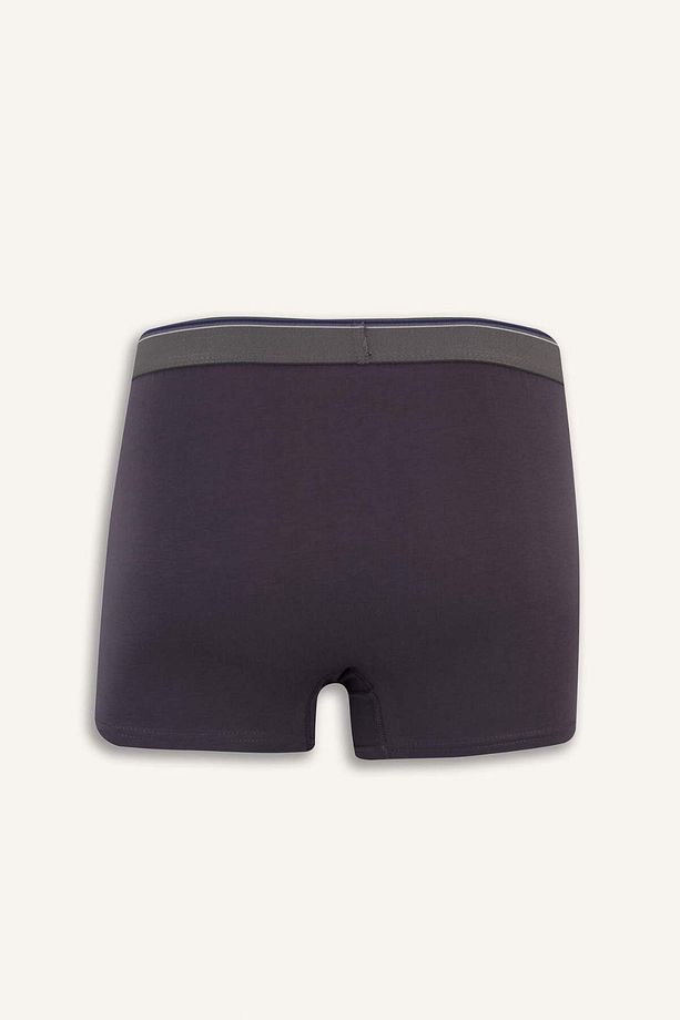 Regular Fit 3'lü Boxer E3234ax25sp - 3
