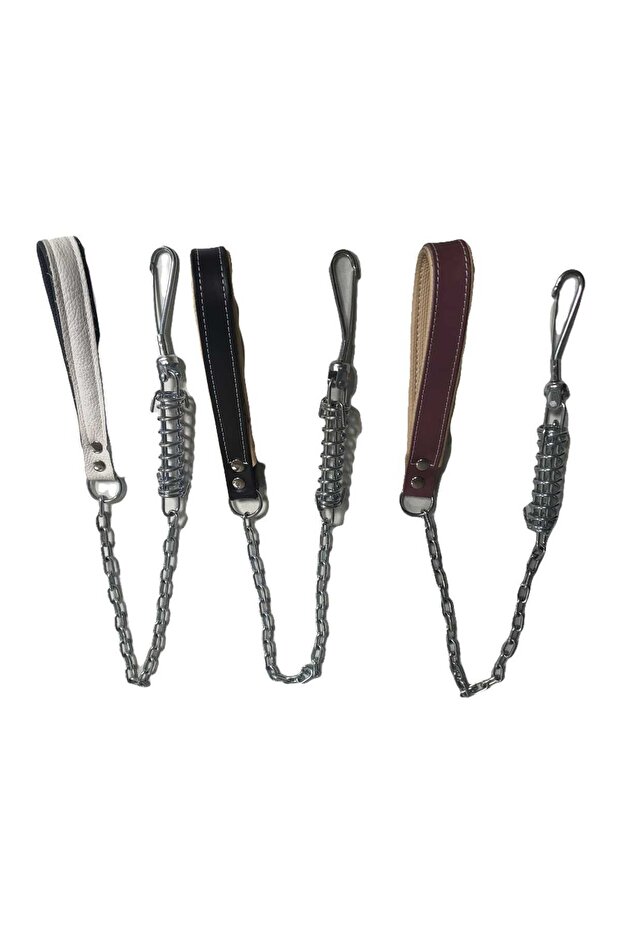 سلسلة مشي للكلاب بحزام زنبركي - 2