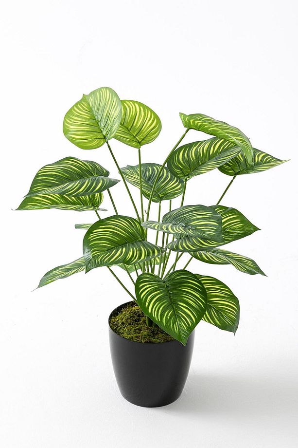 Yapay Salon Köşe Çiçeği Devetabanı Yeşil Sarı 65 Cm - 3