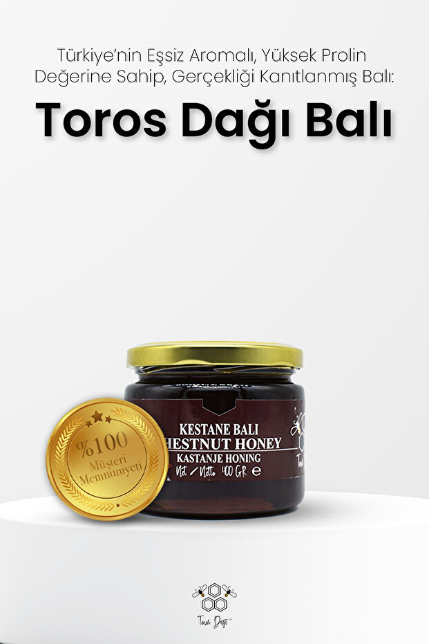 Kestane Balı 400 gr - 3