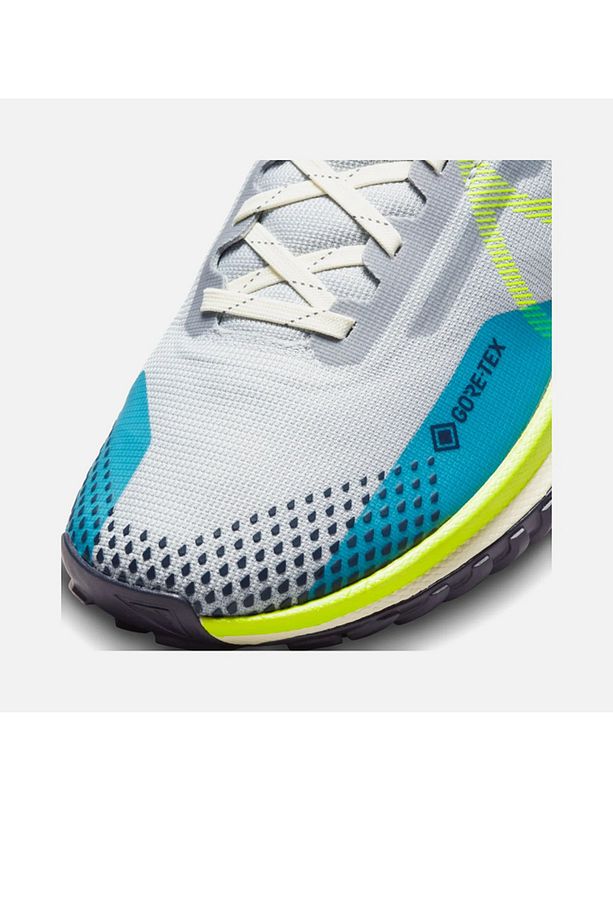React Pegasus Trail 4 Gore-Tex Running DJ7929 002 - 4