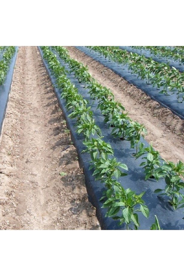 Sebze Naylonu 1.20x15 Metre Domates Naylonu Siyah Malç Naylonu - 1