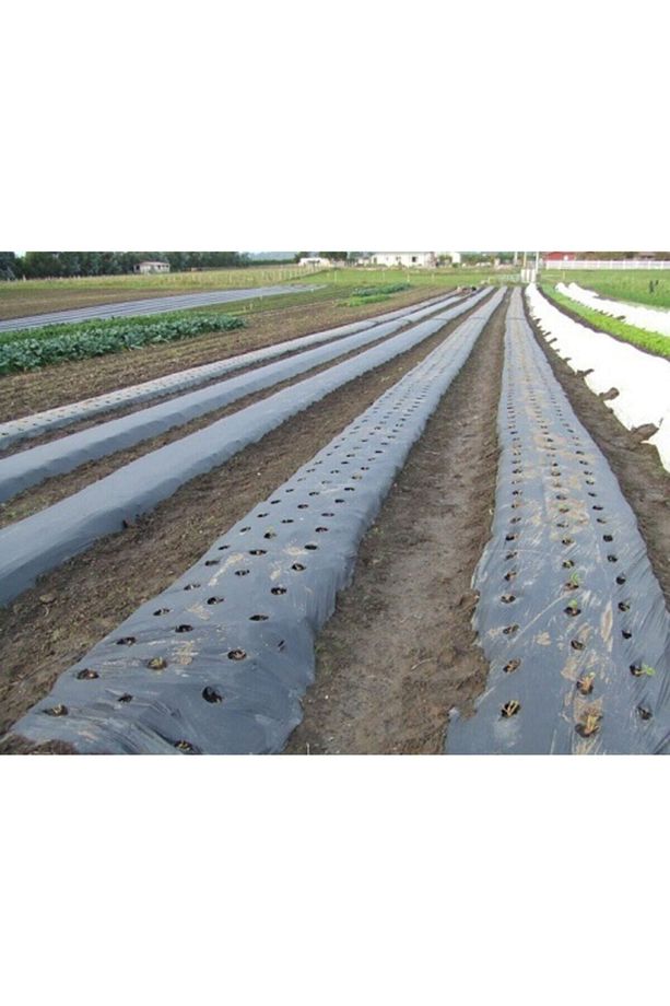 Sebze Naylonu 1.20x15 Metre Domates Naylonu Siyah Malç Naylonu - 3